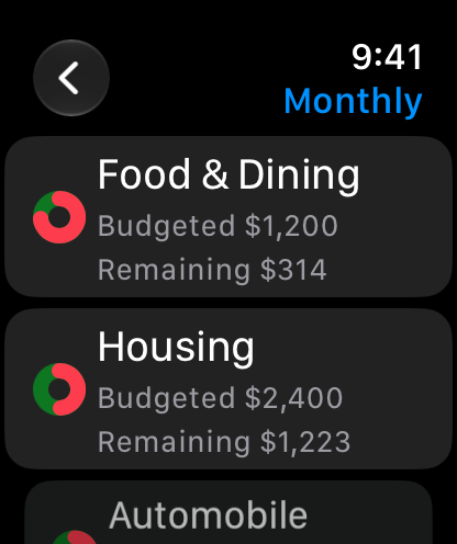 MoneyWiz budget progress on Apple Watch, sample data